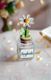 Barattolino Margherita Bianca (senza confetti)