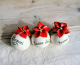 Palla di Natale con agrifoglio, bacche rosse e stella di Natale