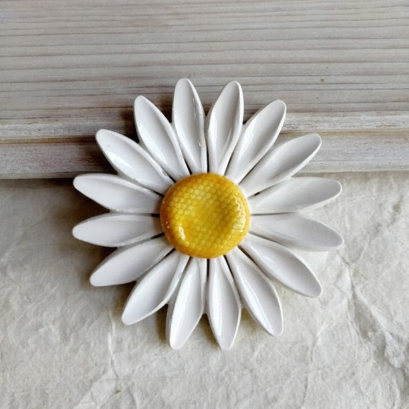 Margherita con petali bianchi