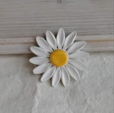 Margherita con petali bianchi